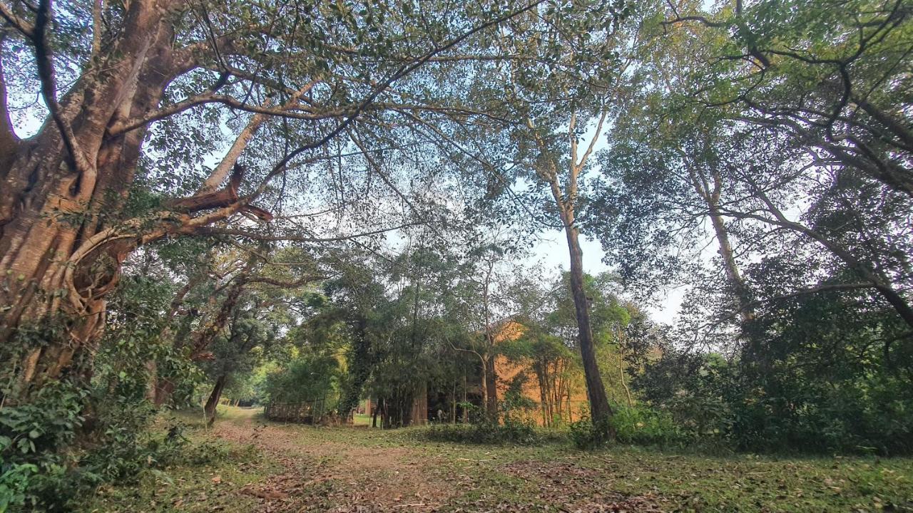 Klov Resort & Spa Wayanad Eksteriør bilde